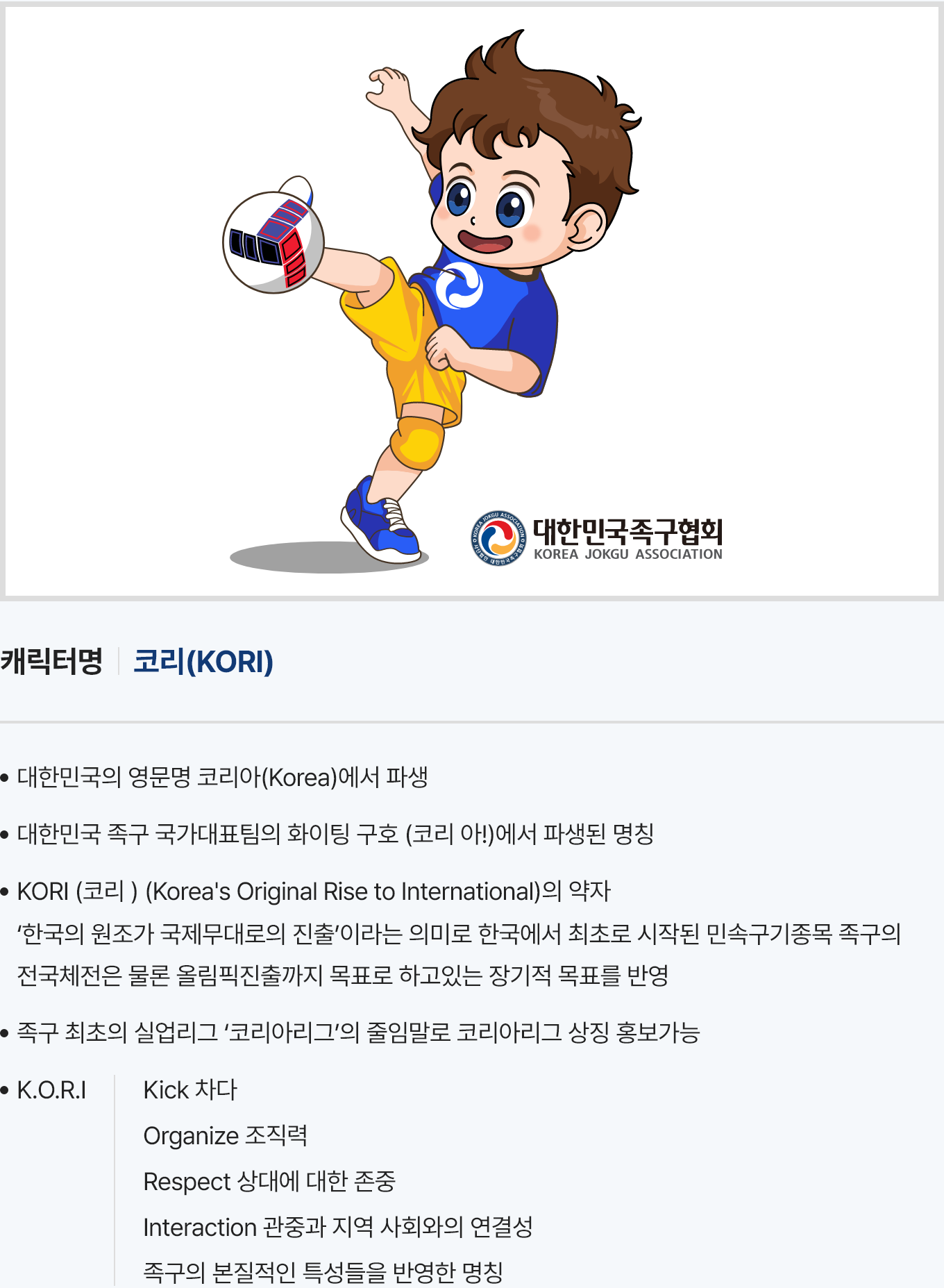 대한민국 족구협회